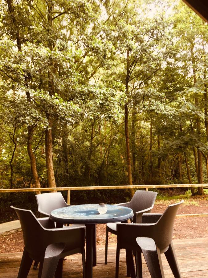 Basic Lodge In Nature Schagerbrug Экстерьер фото