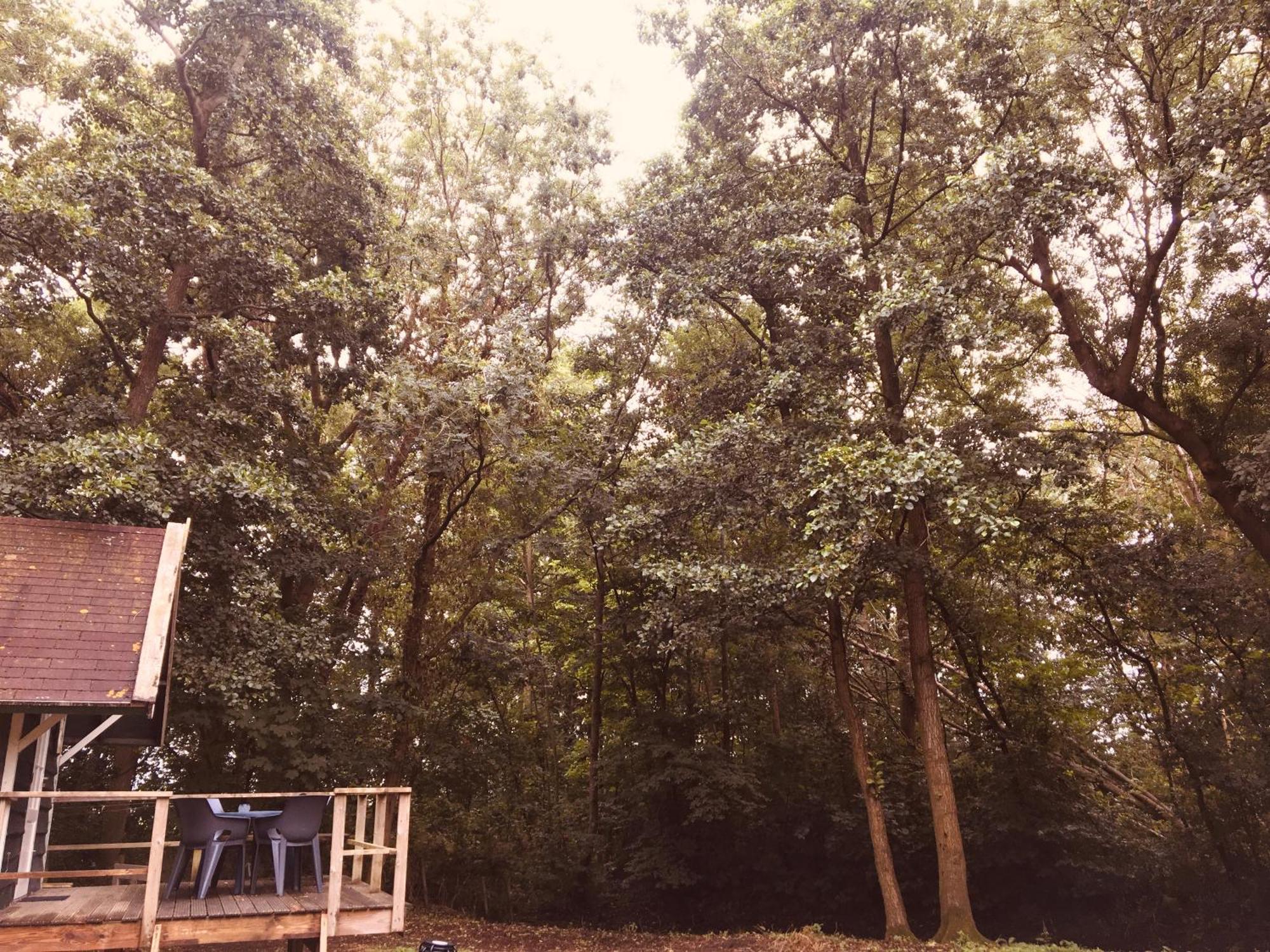 Basic Lodge In Nature Schagerbrug Экстерьер фото